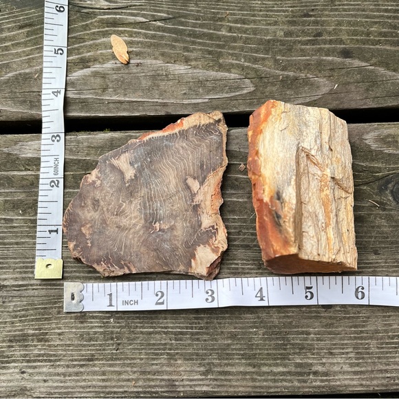 Petrified Wood 2 Piece Set - Picture 13 of 16